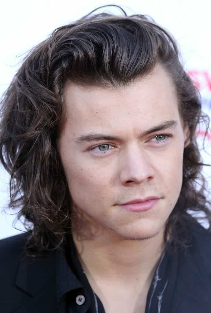 Harry Styles en el 2014. Fuente: flcikr. Autor: Eva Rinaldi