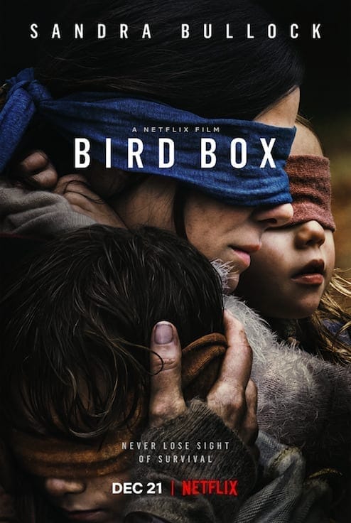 A Ciegas (Bird in the Box). Netflix