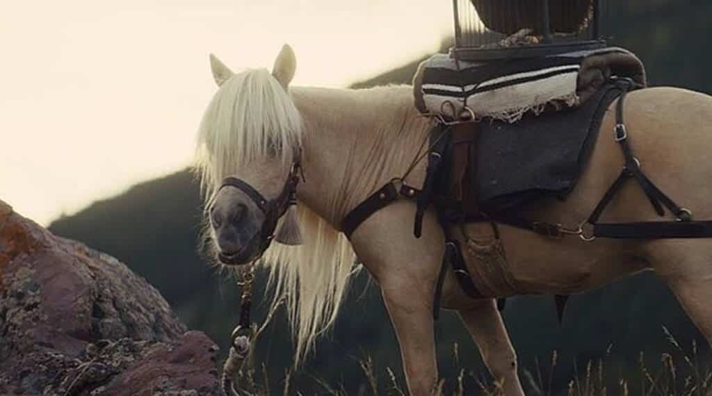 Damsel (2018)