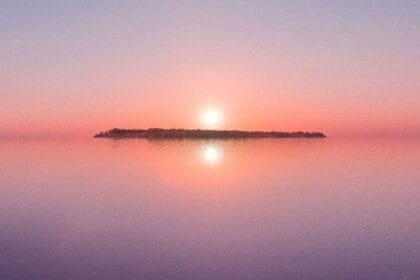 Vallisaari Island skyline, courtesy Helsinki Biennial