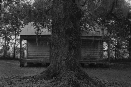 Dawoud Bey, Tree and Cabin, 2019, gelatin silver print, paper: 48 x 59 inches (121.9 x 149.9 cm), edition of 6 with 2 APs © Dawoud Bey Courtesy: Sean Kelly, New York © Dawoud Bey Courtesy: Sean Kelly, New York