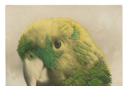 Julie Cockburn, There’s the Green Parrot, 2021, hand embroidery and ink on a found postcard