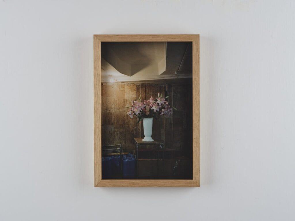 Trevor Yeung, Underground Lilies, 2022 Archival inkjet print, 30 x 20 cm.  Image courtesy of artist and Blindspot Gallery.