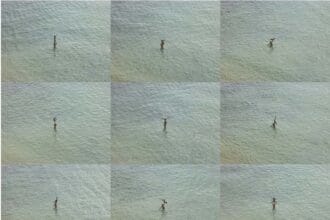 Richard Misrach, Acrobat Super Grid (2012/2021) © Richard Misrach, courtesy Pace Gallery