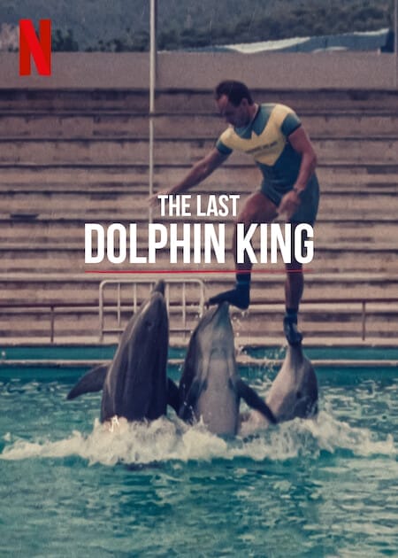 The Last Dolphin King