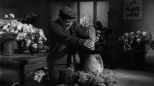 Jonathan Haze in The Little Shop of Horrors (1960)