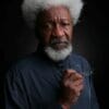 Wole Soyinka1 by Glen Gratty