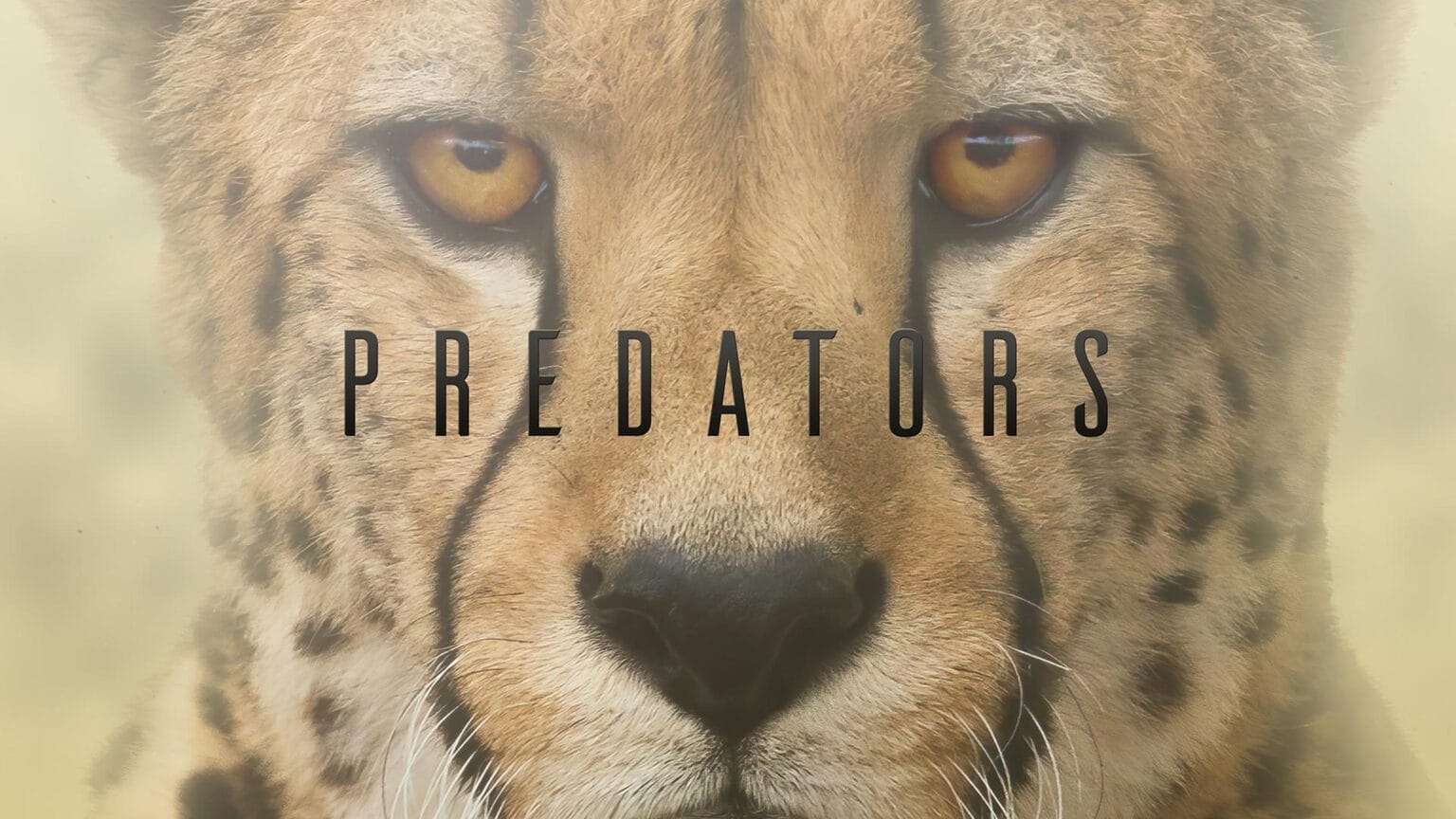 Predators