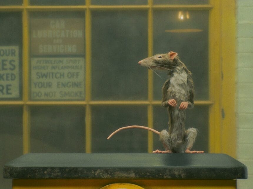 The Rat Catcher