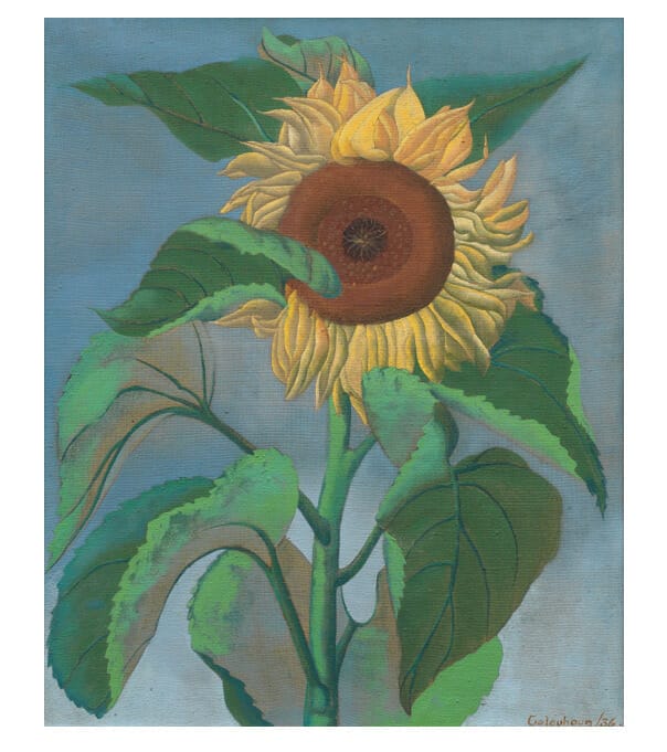 Sunflower by Ithell