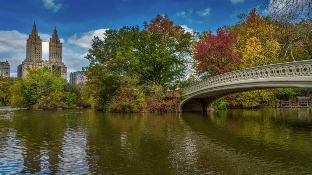 Central Park New York