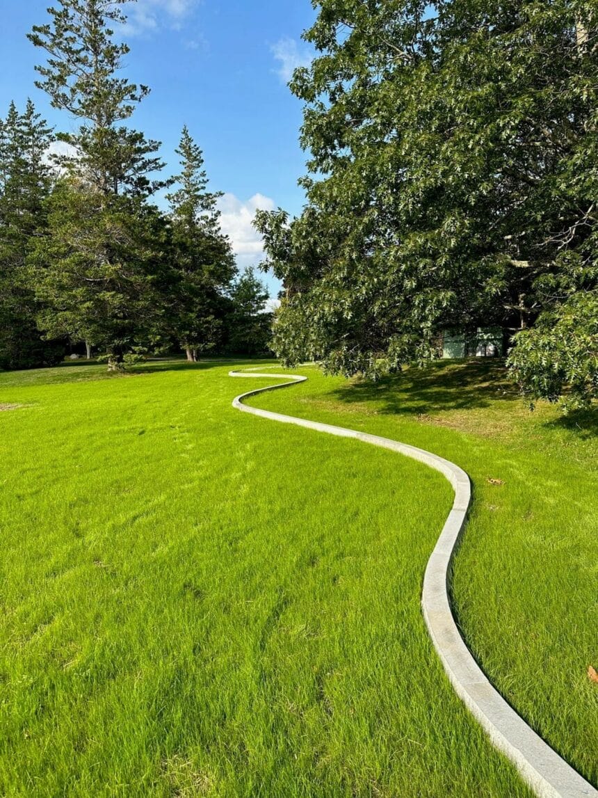 Andy Goldsworthy