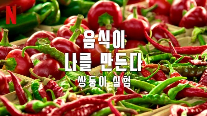 음식이 나를 만든다: 쌍둥이 실험 - 넷플릭스